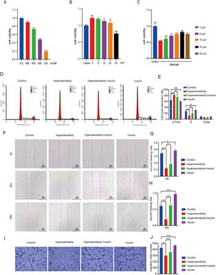 Protective effects of insulin on dry eye syndrome via TLR4/NF-κB pathway: based on network pharmacology and in vitro experiments validation